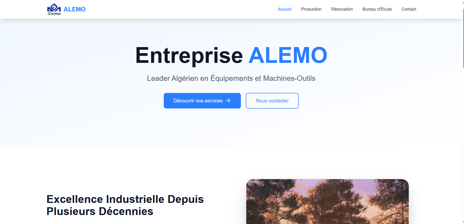 Alemo Website homepage